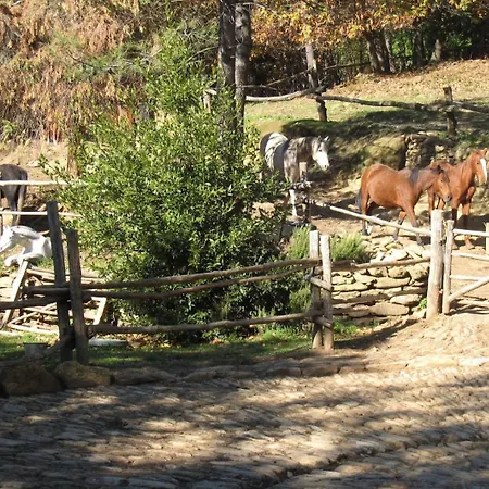 Hytte Centro Trekking A Cavallo Monte Brugiana
