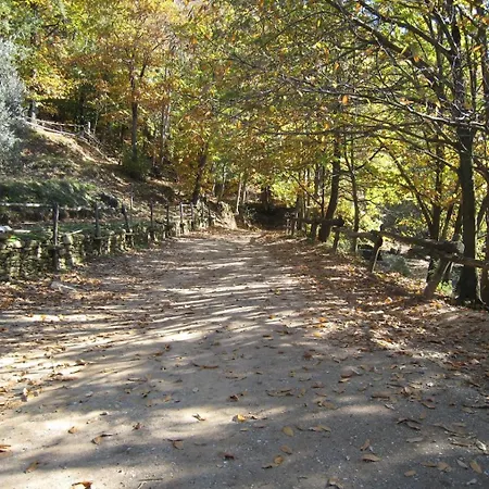 Centro Trekking A Cavallo Monte Brugiana *
